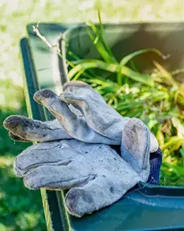 Yard waste removal