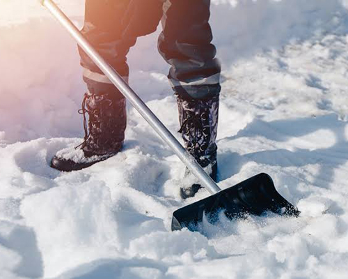 Winter & Exterior Services with Black Eagle Removal